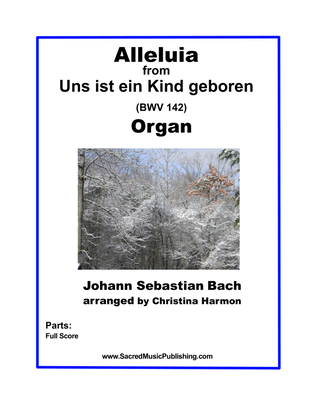 Book cover for Alleluia from Uns ist ein Kind geboren - Organ