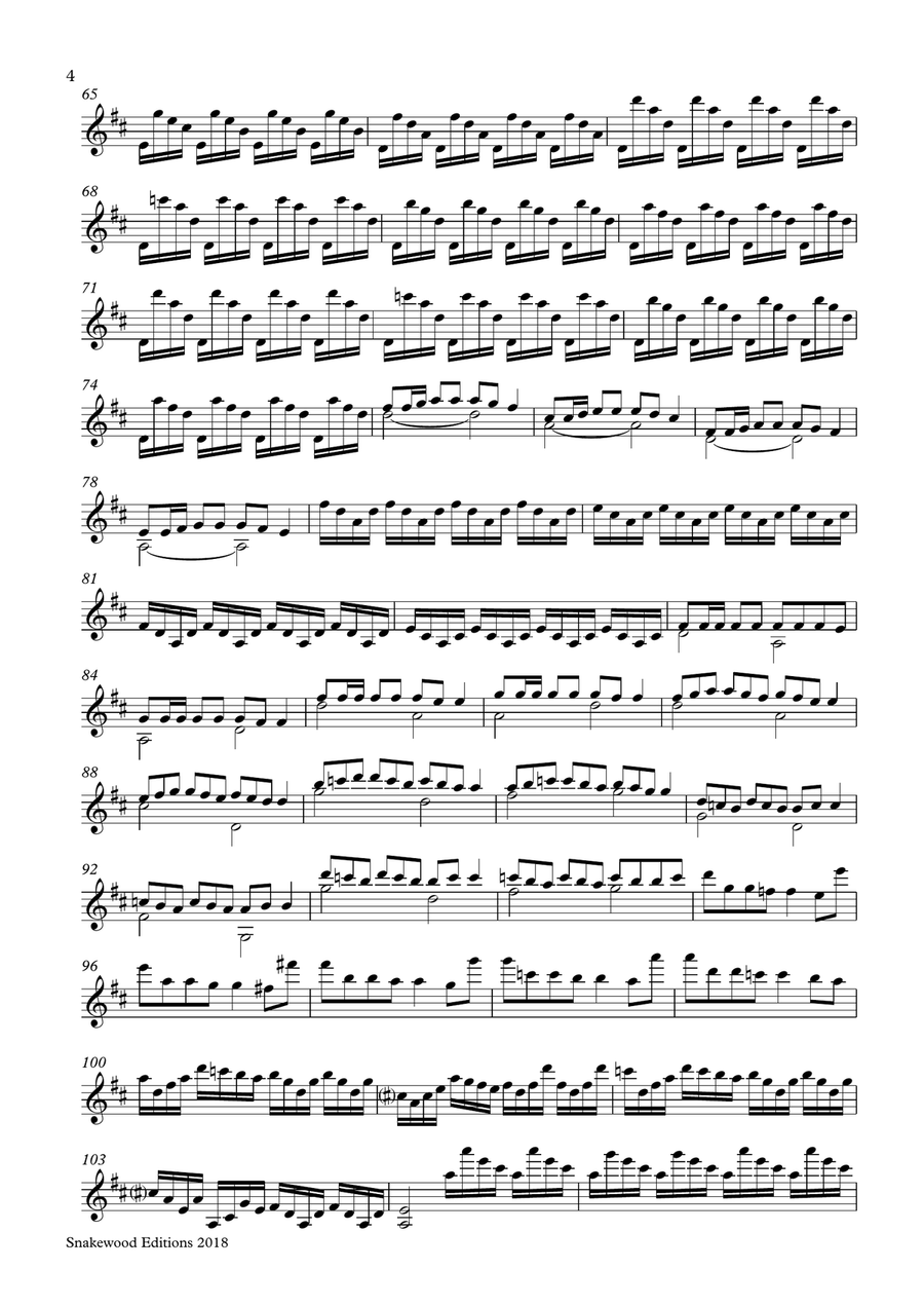 Vivaldi – 3 Cadenzas for Concerto RV 208 