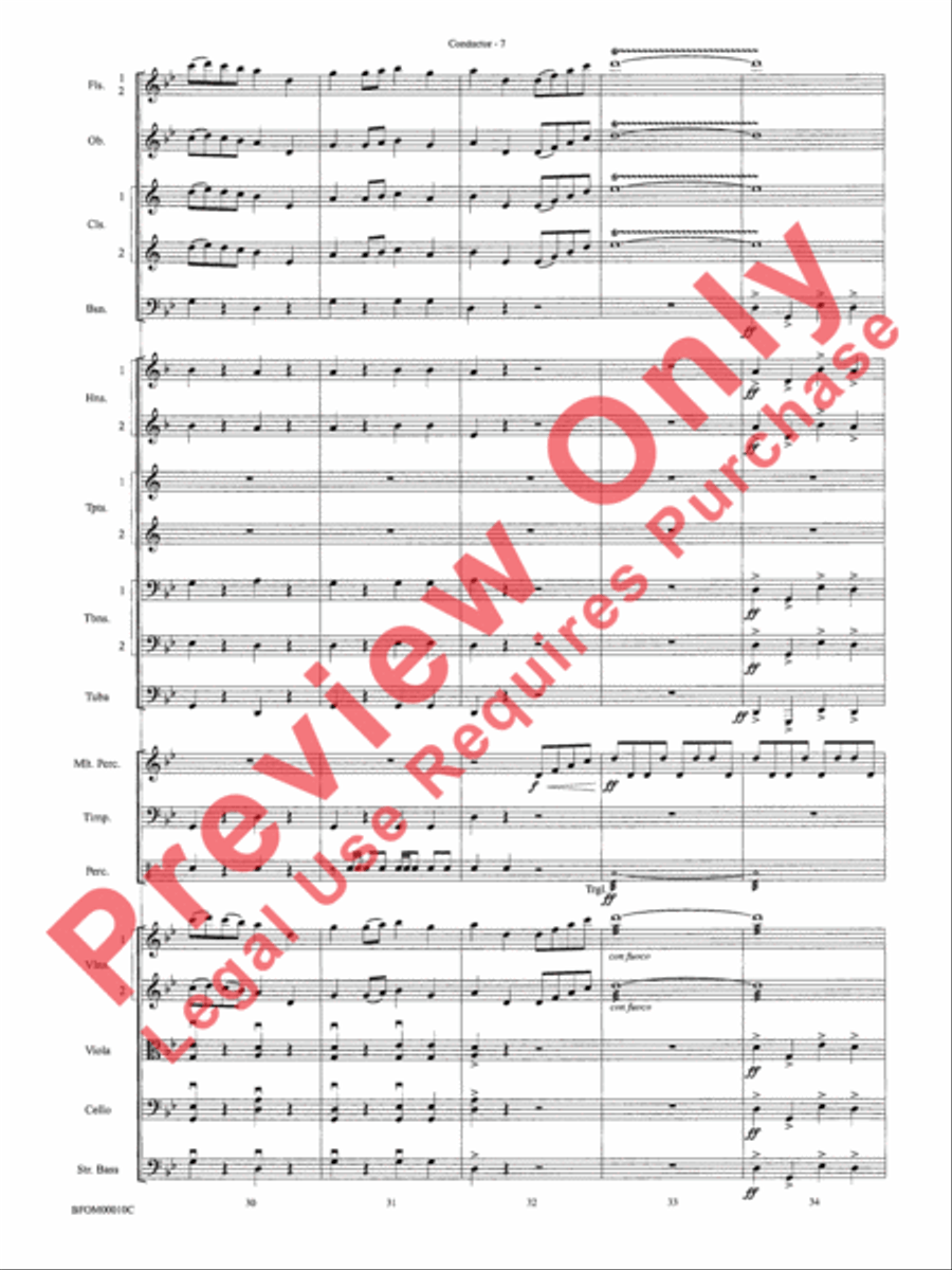 Aboriginal Rituals Full Orchestra scores gallery preview page 9