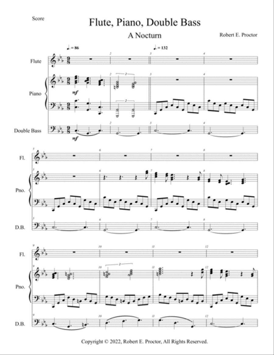 Flute Piano Double Bass - A Nocturn Flute scores gallery preview page 2
