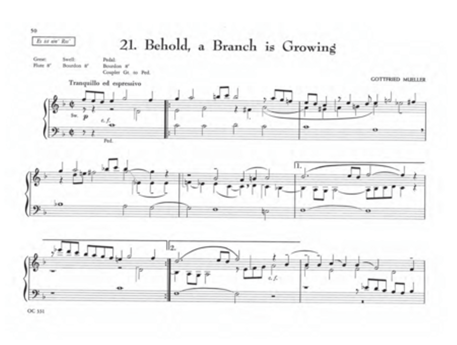 The Parish Organist, Part 01 (Tunes A-G) Organ scores gallery preview page 25
