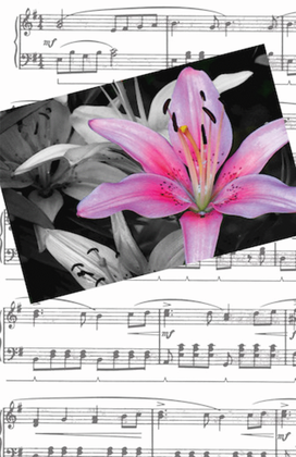 Book cover for Recital Program #79 - Pink Flower and Music