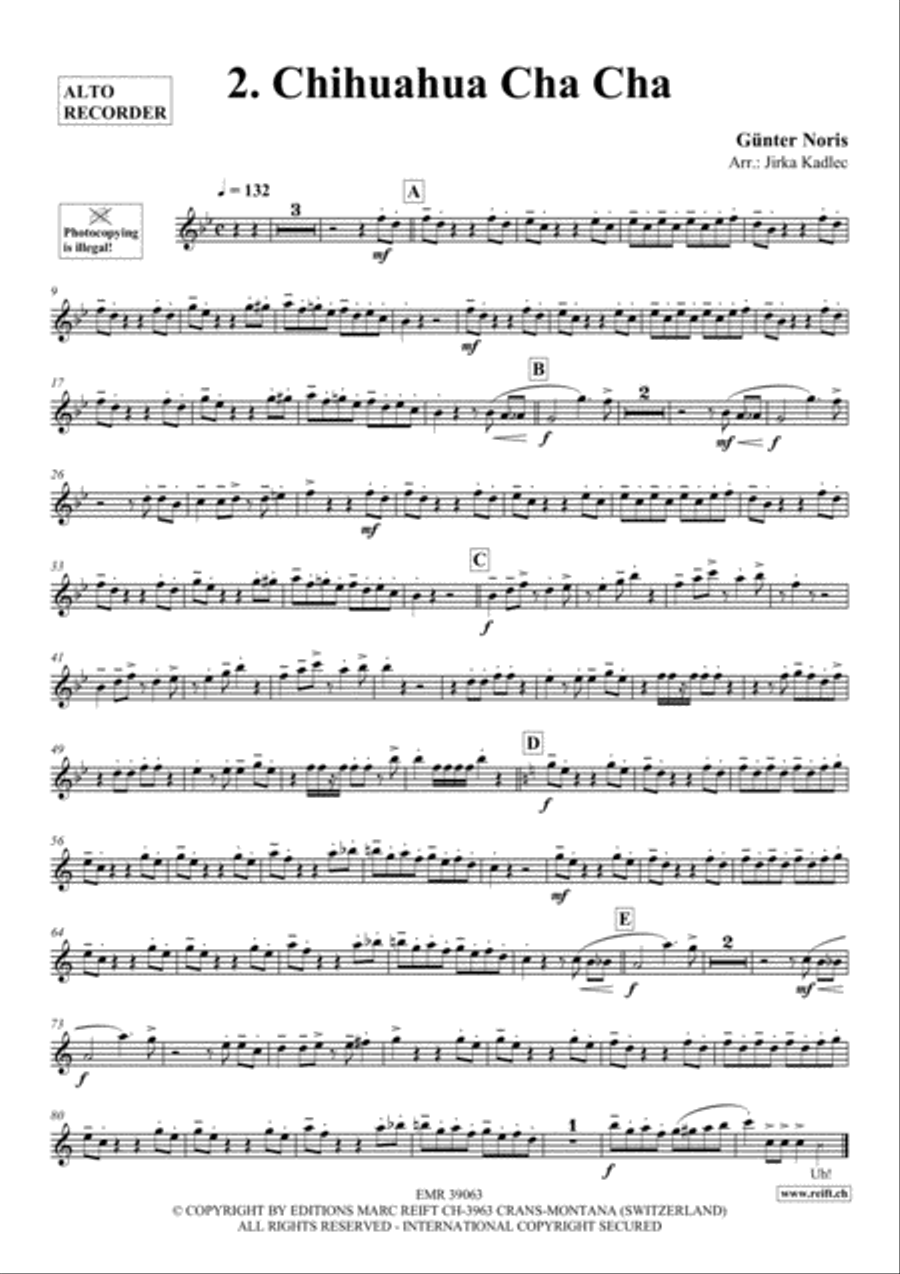 12 Greatest Dance Party Hits Alto Recorder scores gallery preview page 3