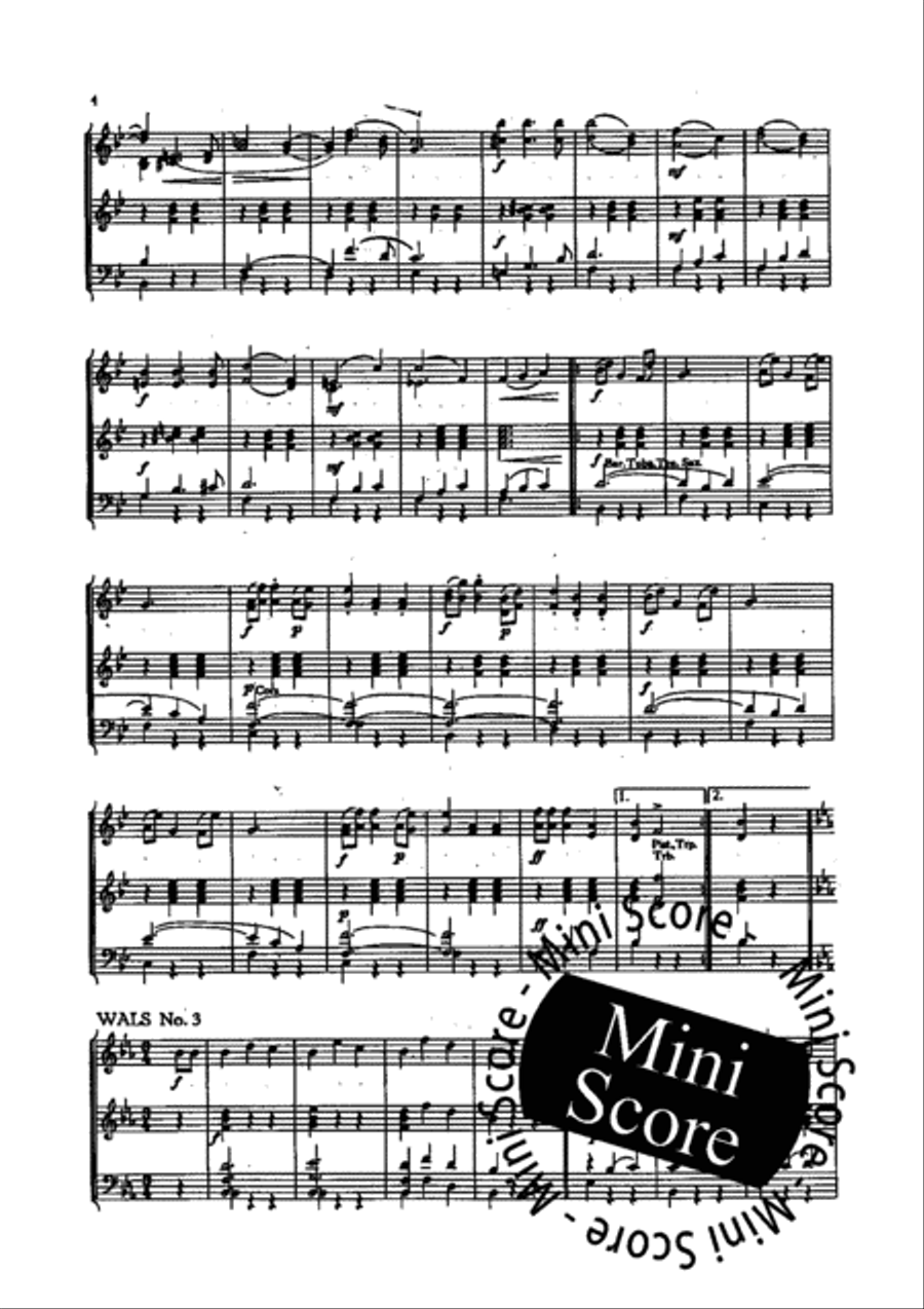 Wiener Madeln Concert Band scores gallery preview page 6
