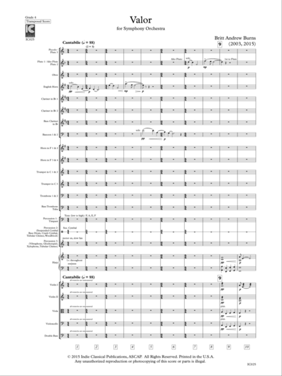Valor - for Orchestra Full Orchestra scores gallery preview page 5