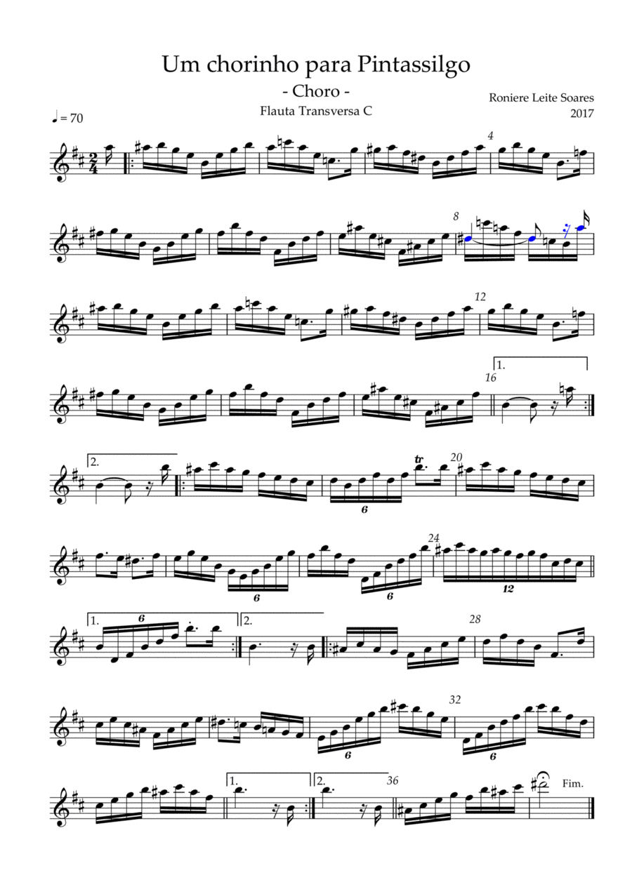 Um chorinho para Pintassilgo Flute Solo scores gallery preview page 1