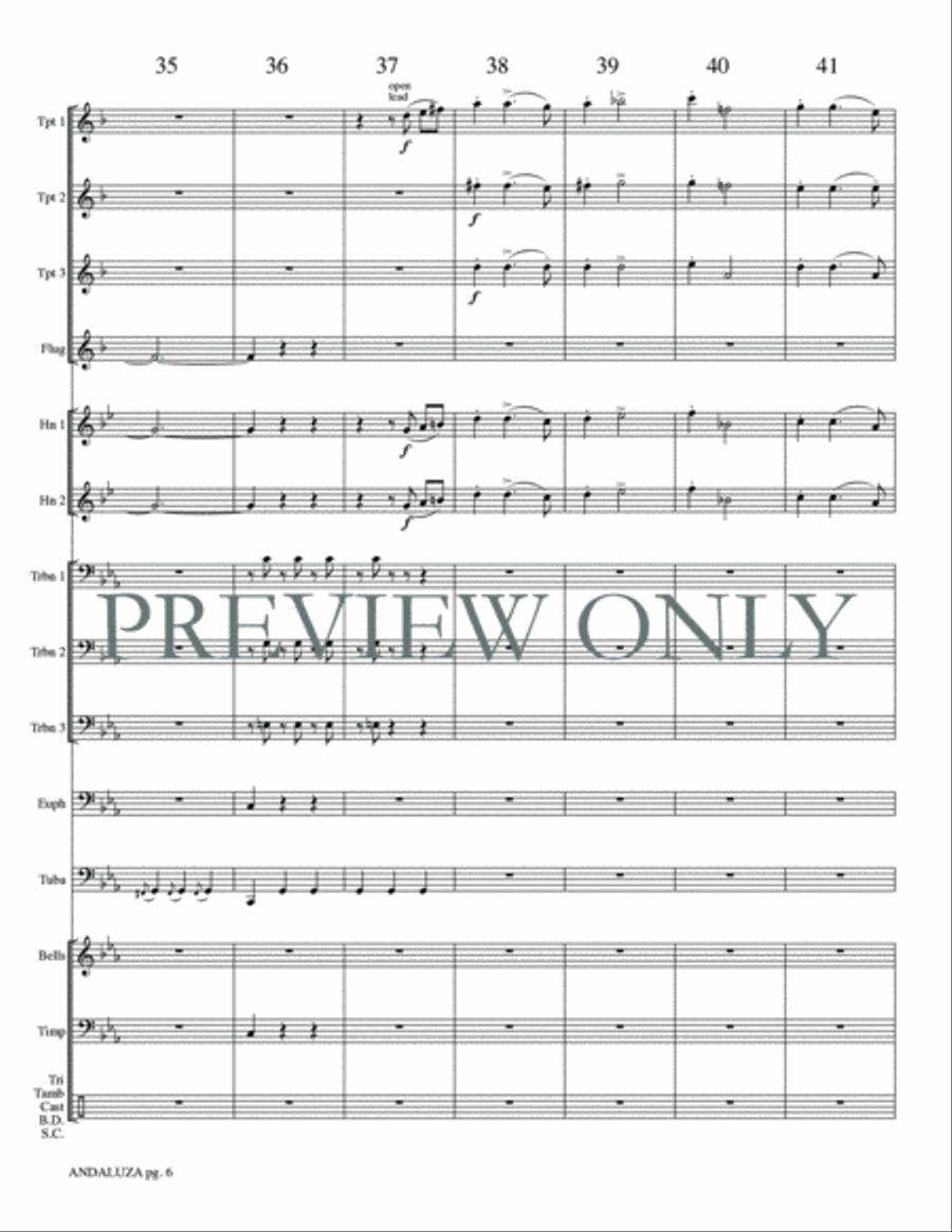 Andaluza Small Ensemble scores gallery preview page 8