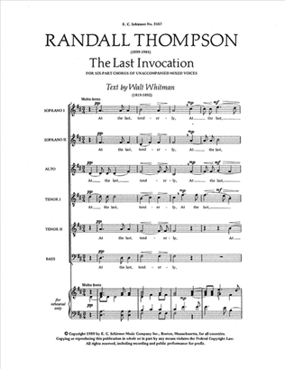 Book cover for The Last Invocation