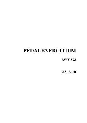 PEDALEXERCITIUM - BWV 598 - J.S. Bach