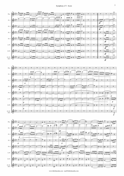 Beethoven's Fifth Symphony (first movement) - for Flute Choir image number null