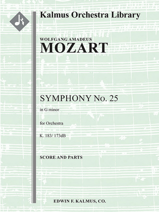 Book cover for Symphony No. 25 in G minor, K. 183/173dB