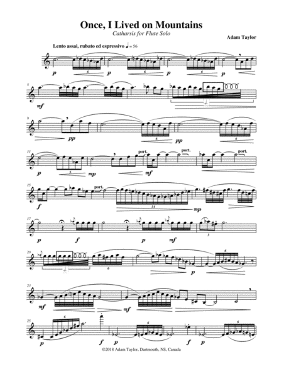 Once, I Lived on Mountains Flute Solo scores gallery preview page 2