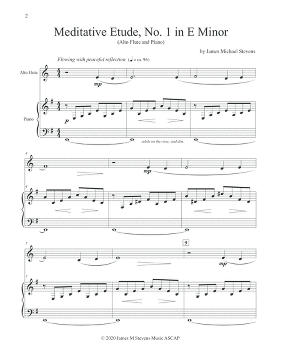 Meditative Etude, No. 1 in E Minor - Alto Flute & Piano image number null