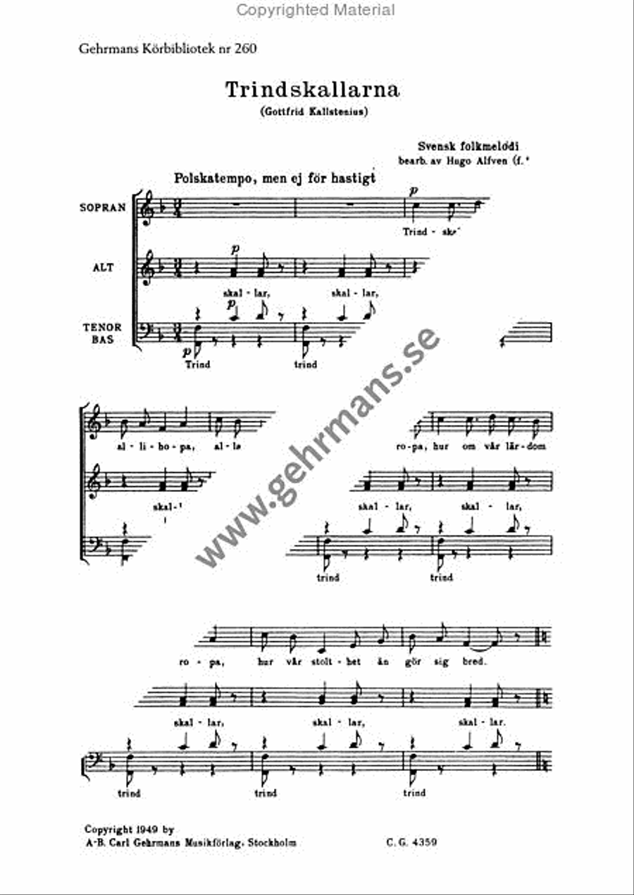 Trindskallarna Divisi scores gallery preview page 2