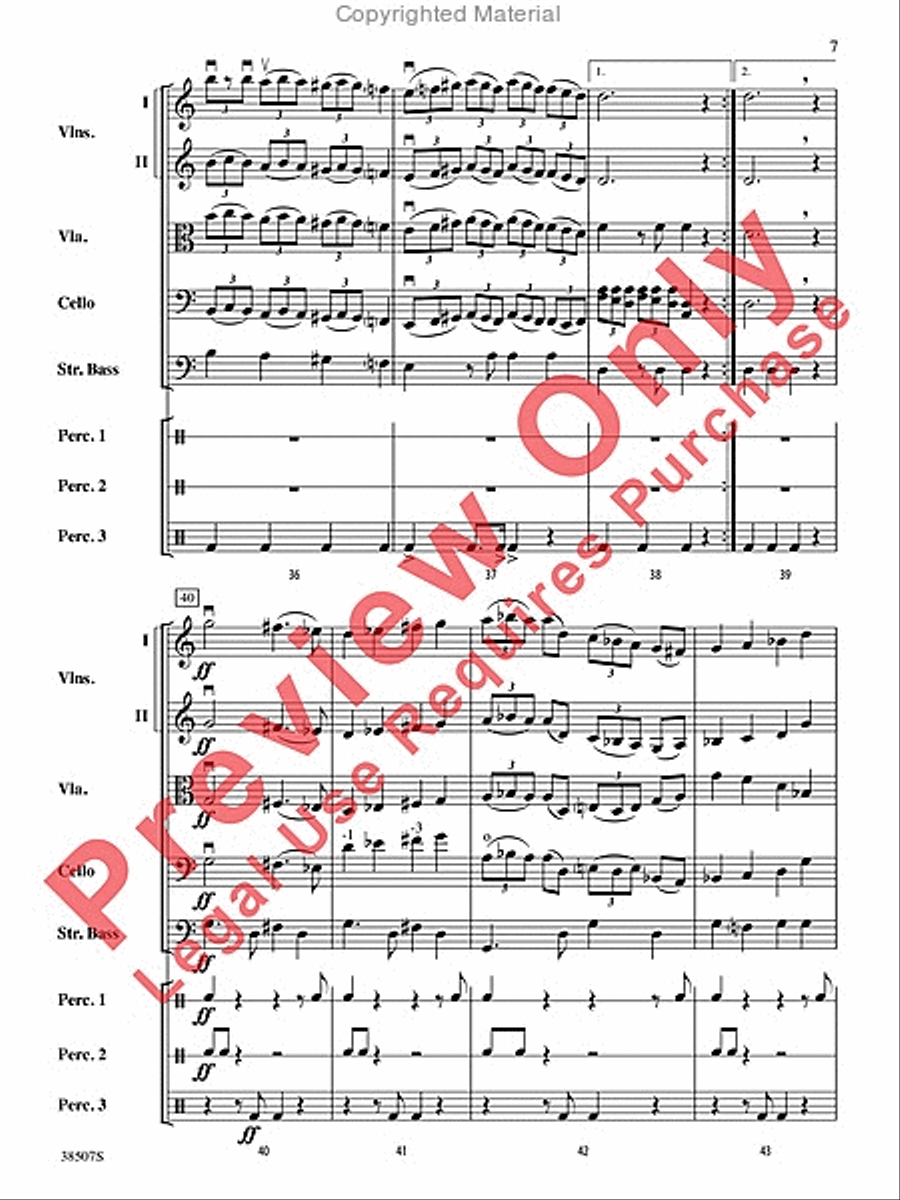 Terkisher Klezmer Fest String Orchestra scores gallery preview page 8