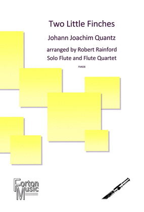 Book cover for Concerto No. 161 QV5:174