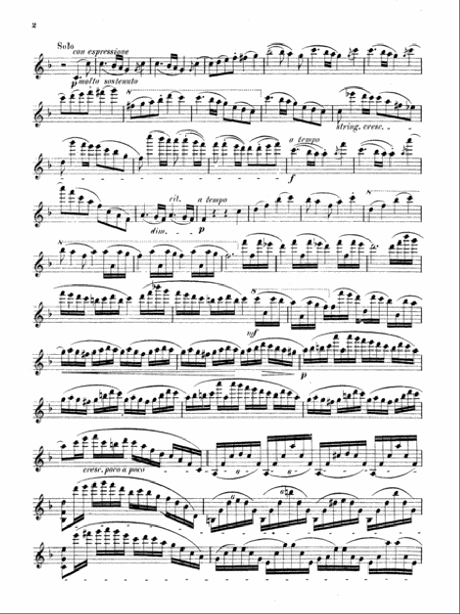 Strauss: Violin Concerto, Op. 8 Violin Solo scores gallery preview page 2