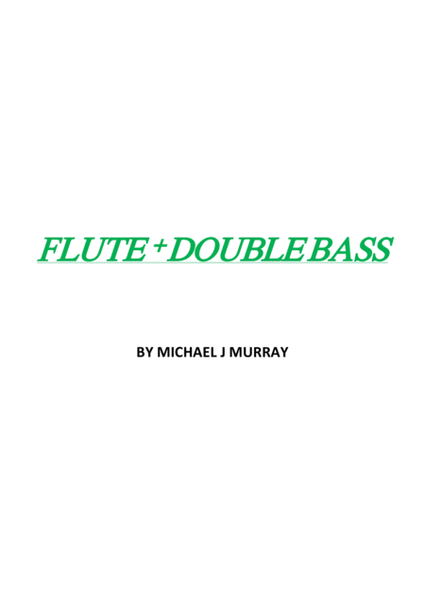 Flute and Double bass