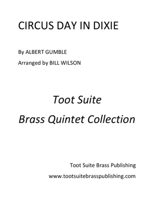 Book cover for Circus Day In Dixie