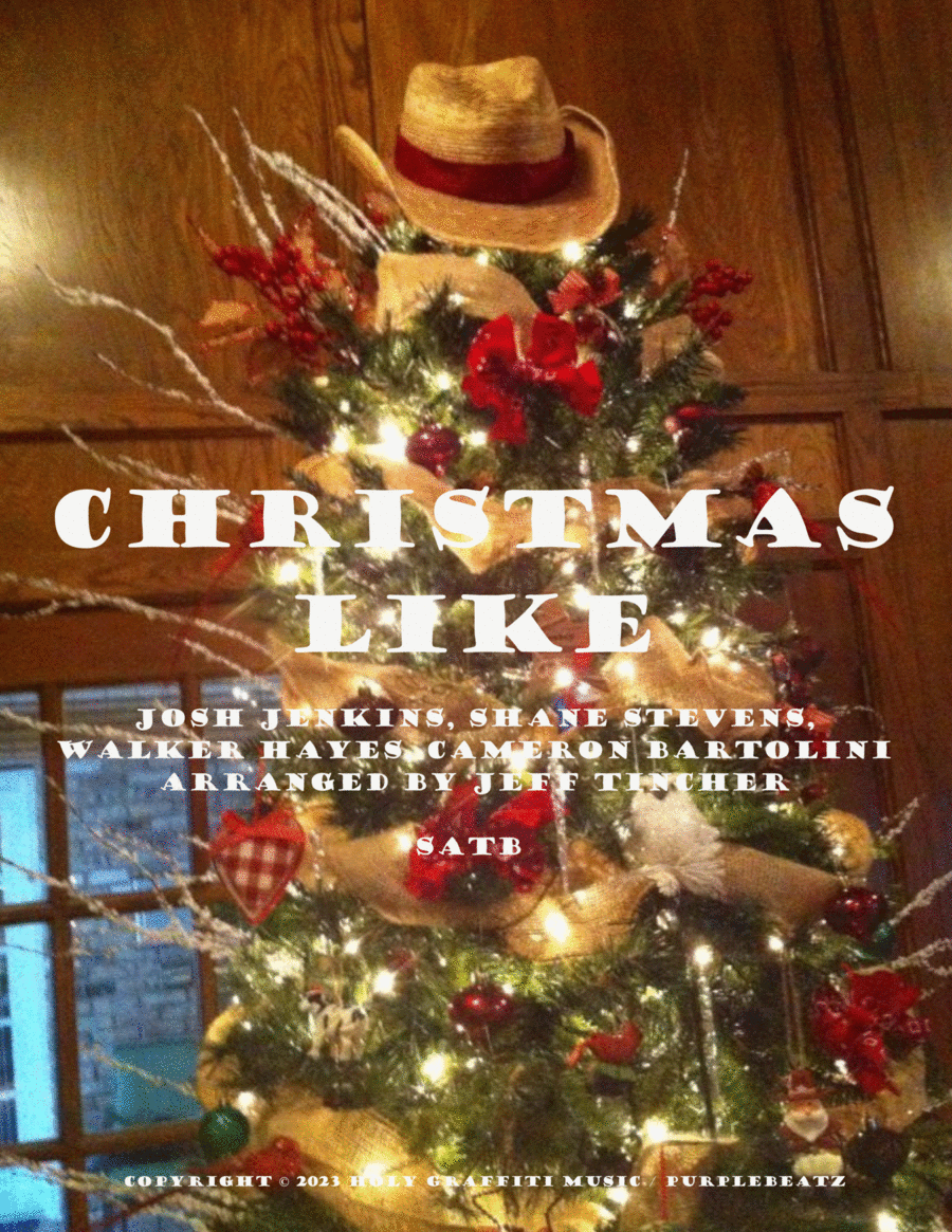 Book cover for Christmas Like