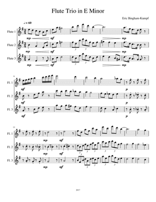 Flute Trio in E Minor