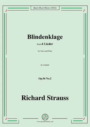 Richard Strauss-Blindenklage,in e minor