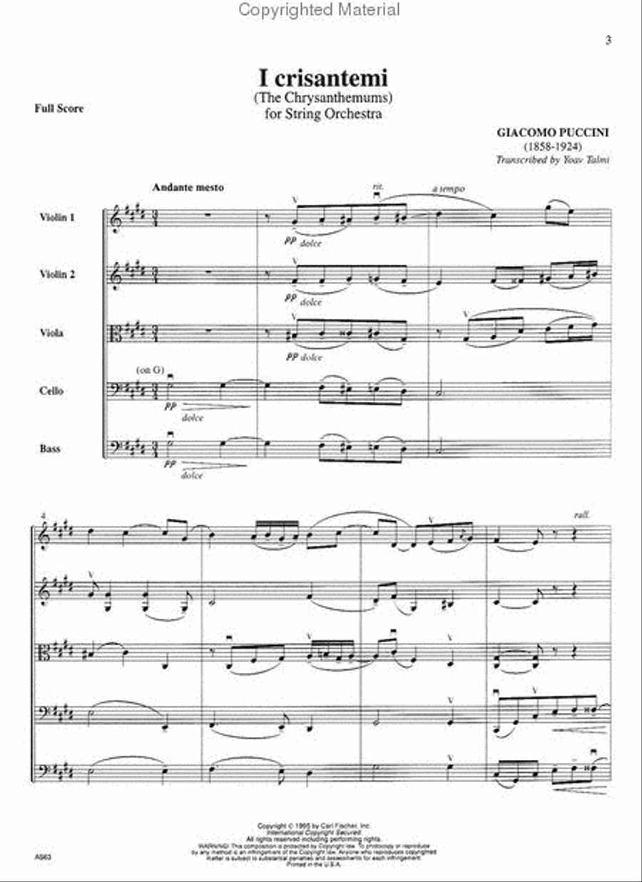 I Crisantemi Orchestra scores gallery preview page 2