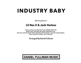 Book cover for Industry Baby