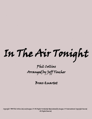 Book cover for In The Air Tonight