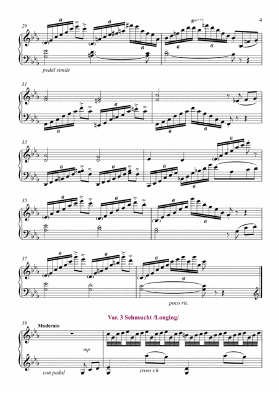 Die Variationen "Verloren" /Lost/ op19 in C minor image number null