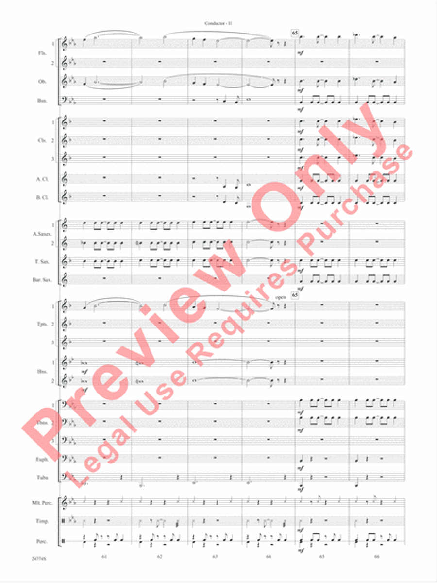 The Magnificent Seven Concert Band scores gallery preview page 14