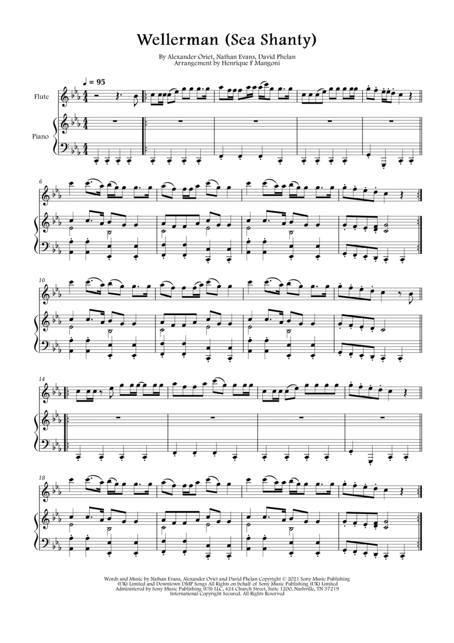 Wellerman Flute Solo scores gallery preview page 1