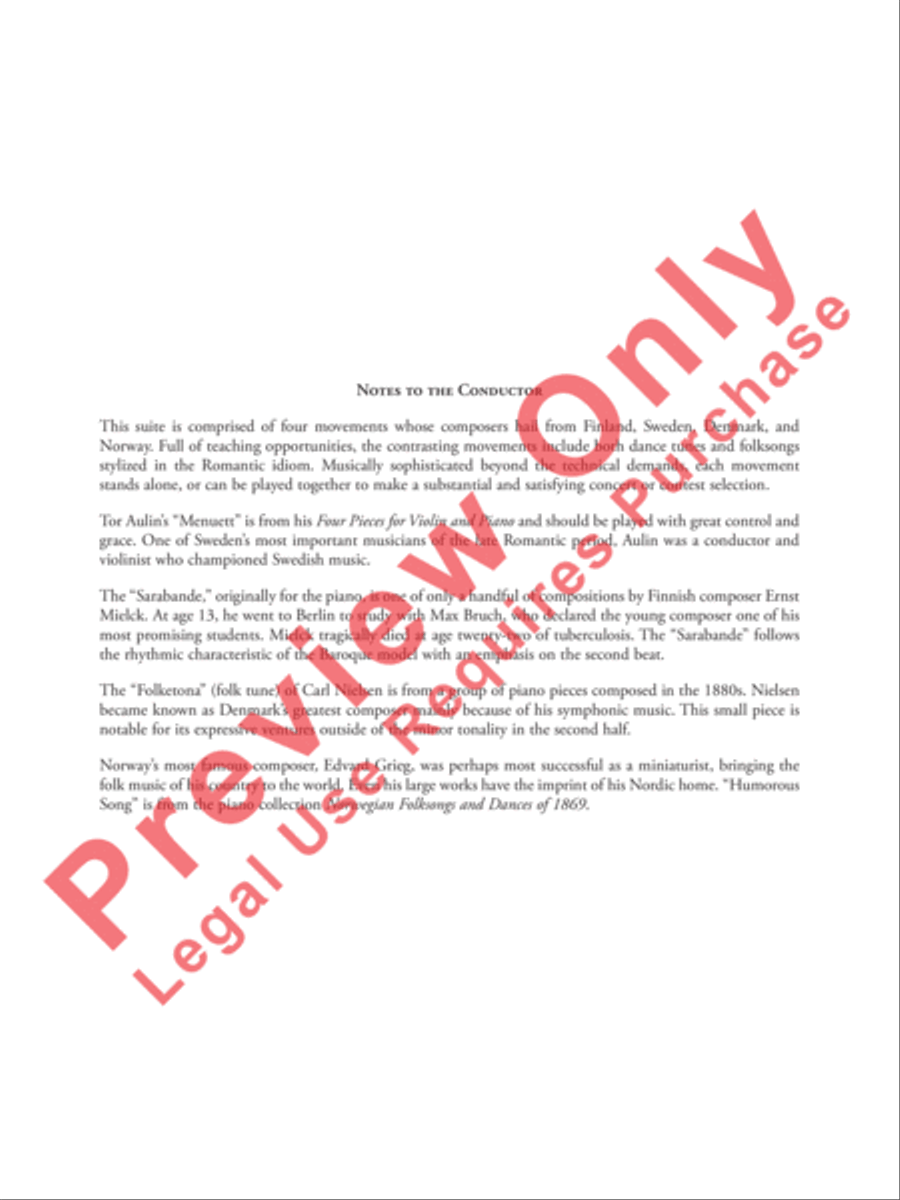 Nordic Suite String Orchestra scores gallery preview page 3