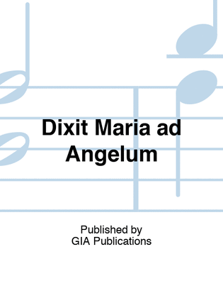 Book cover for Dixit Maria ad Angelum