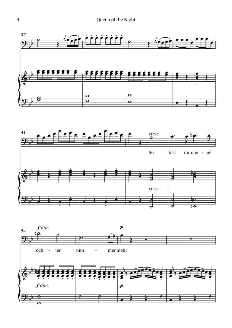Queen of the Night (aria) - for BASS in G minor Chamber Music scores gallery preview page 4