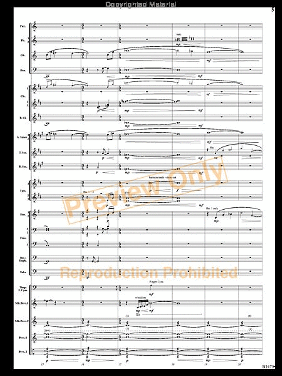 Gravity Wave Gravity Wave Concert Band scores gallery preview page 4