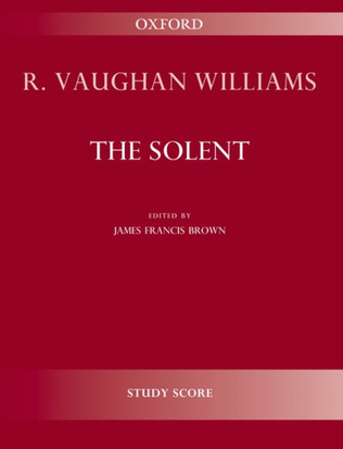 Book cover for The Solent