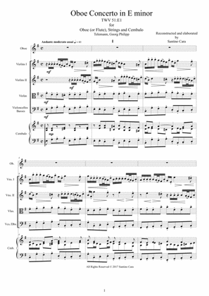 Telemann - Concerto in E minor TWV 51-E1 for Oboe (or Flute), Strings and continuo