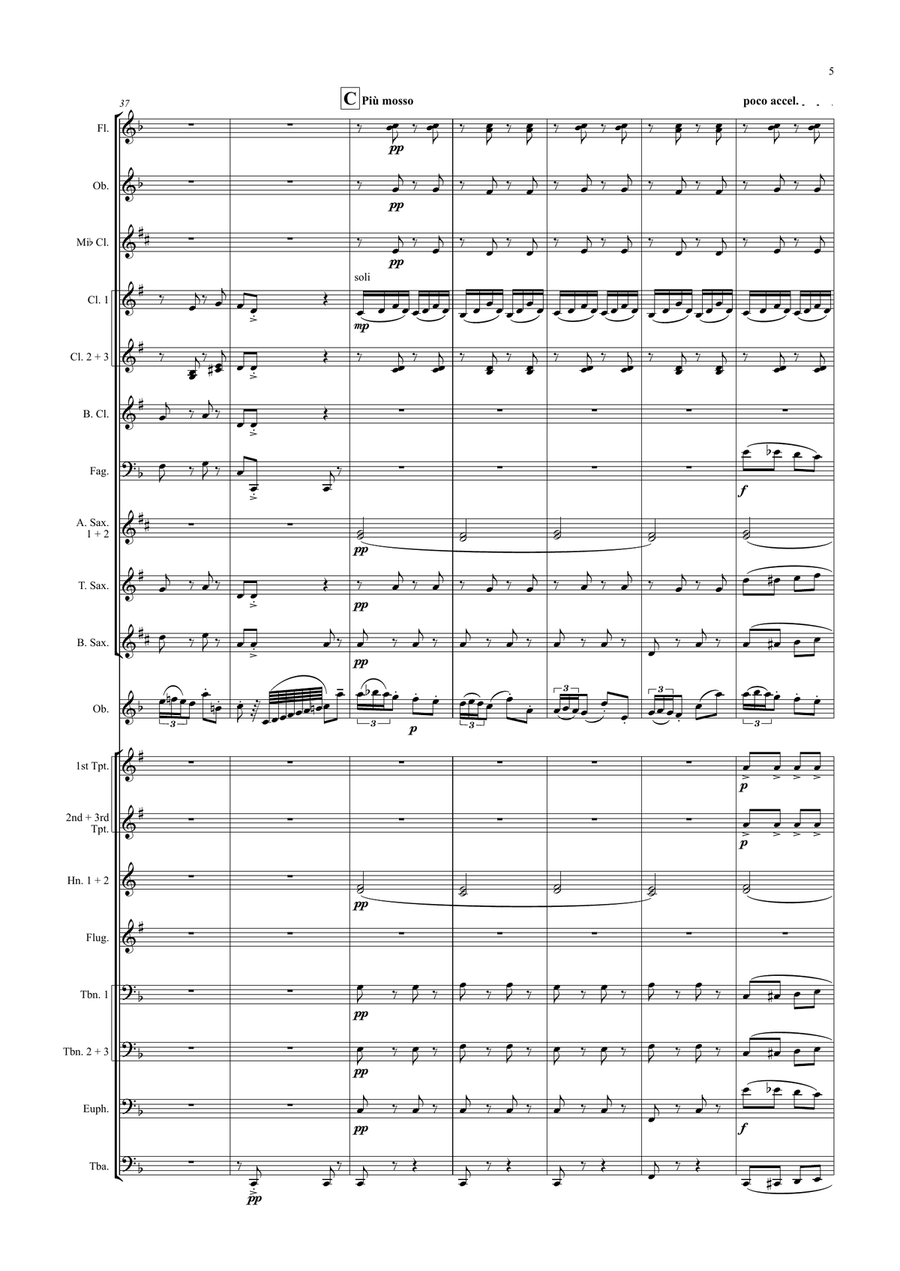 La favorita - A. Pasculli - Finale oboe concerto sobre temas de La Favorita de Donizetti (banda) win Concert Band scores gallery preview page 5