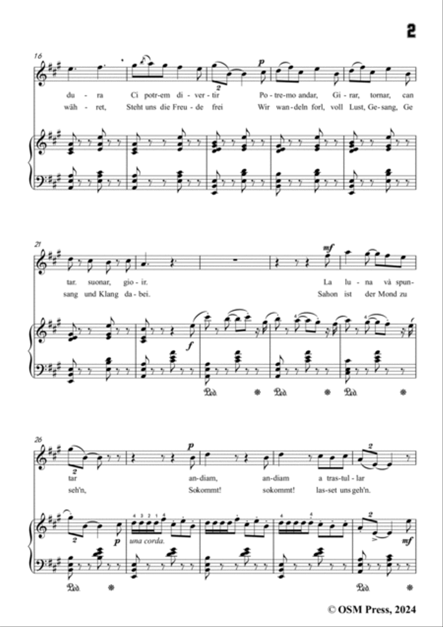 Paladilhe-Mandolinata( Souvenir de Rome),in A Major Voice scores gallery preview page 3