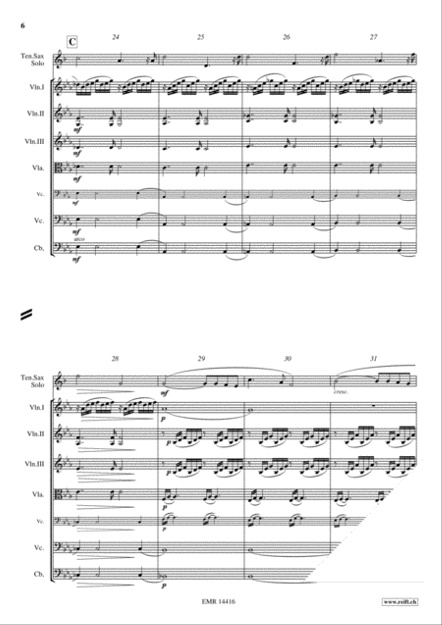 Ave Maria String Orchestra scores gallery preview page 6