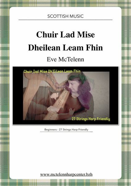 Chuir Lad Mise Dh'Eilean Team Fhin - beginner & 27 String Harp | McTelenn Harp Center image number null
