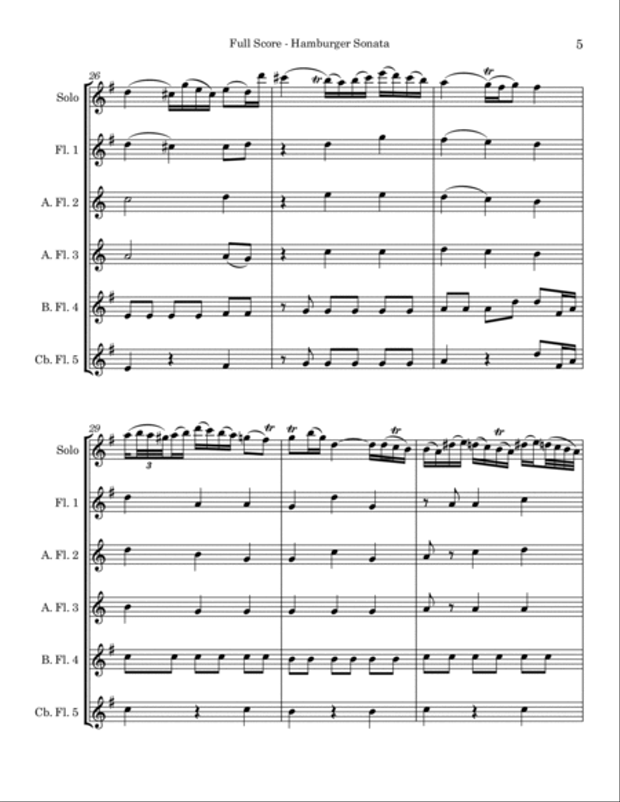 Hamburger Sonata H564 Flute Choir scores gallery preview page 5