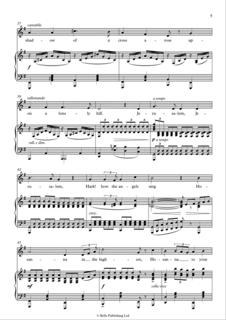 The Holy City (G Major) Voice Solo scores gallery preview page 5