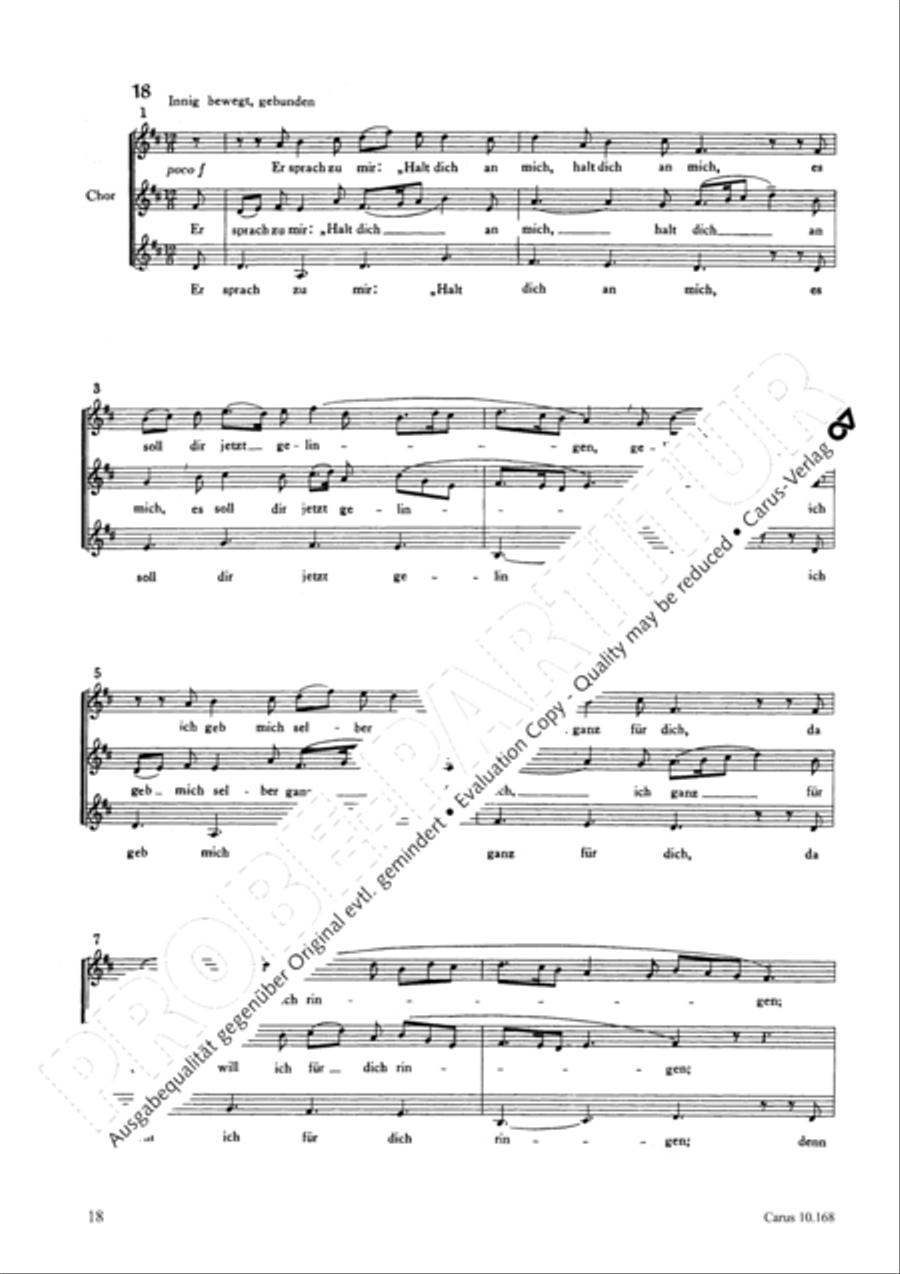 The Christmas Story (Die Weihnachtsgeschichte) SSA scores gallery preview page 21