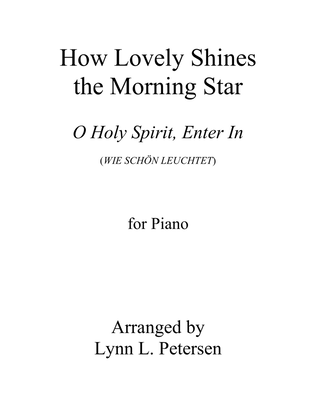 Book cover for How Lovely Shines the Morning Star