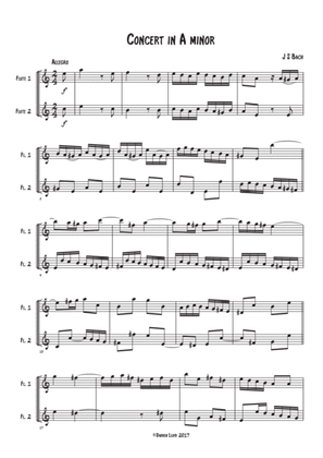 Flute duet - Bach Violin concerto A minor 1st movement