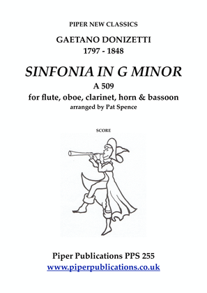 Book cover for DONIZETTI SINFONIA IN G MINOR A 509 FOR WIND QUINTET