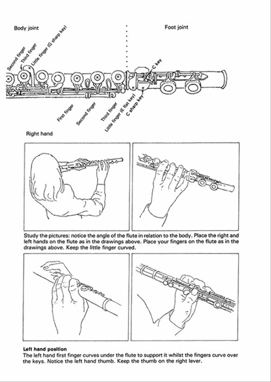 Beginner's Book for the Flute – Part One Flute scores gallery preview page 2