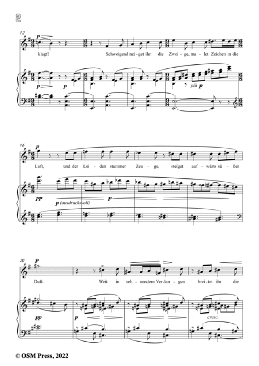 R. Wagner-Im Treibhaus,in e minor,WWV 91 No.3,from Wesendonck-Lieder Voice scores gallery preview page 4